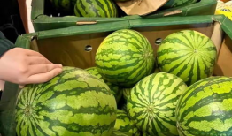 瓜视频,揭秘娱乐圈幕后故事，带你走进明星真实生活